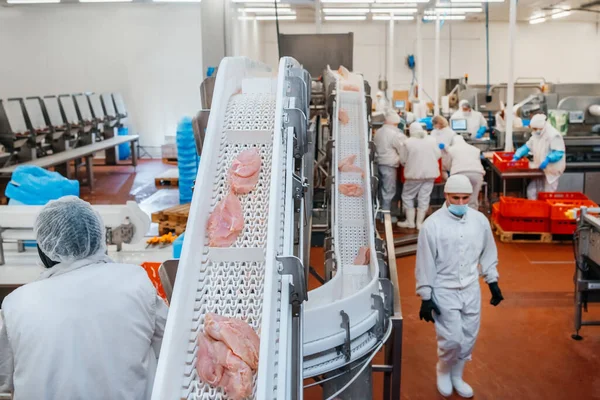 depositphotos 458608748 stock photo meat processing plant people working