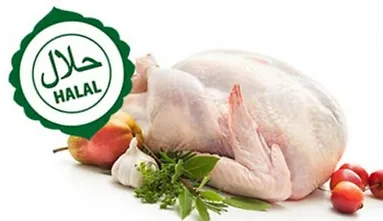 halal chicken suppliers edited 1