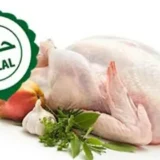 halal chicken suppliers edited 160x160 1